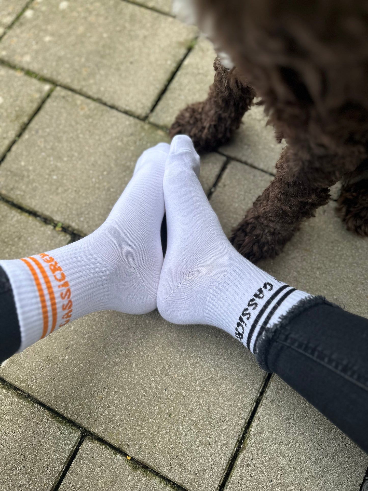 Gassicrew-Socken